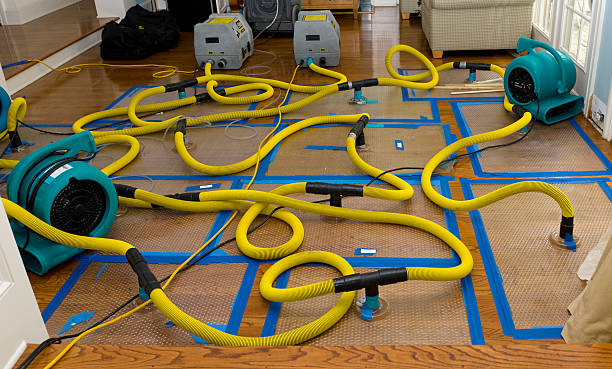 Professional Water Extraction technician working in Vandiver, AL